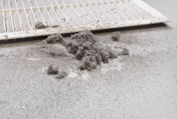 Best HVAC Duct Inspection Services  in San Castle, FL