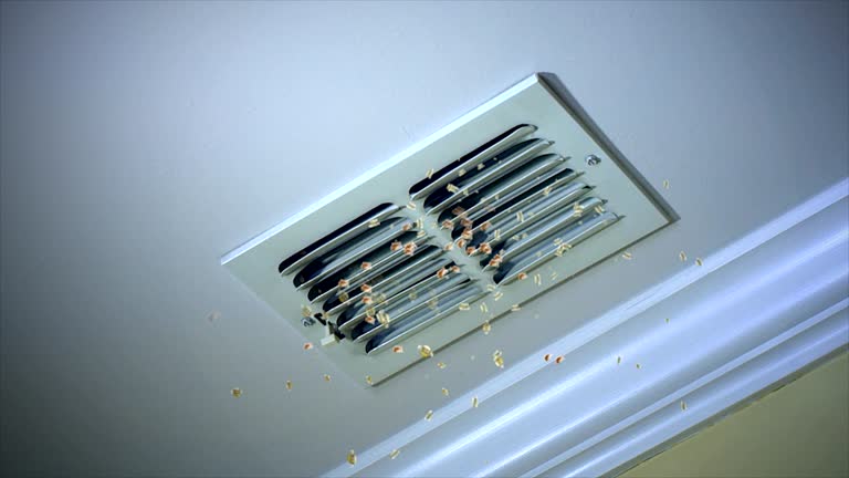 Best Local Air Duct Cleaning Services  in San Castle, FL
