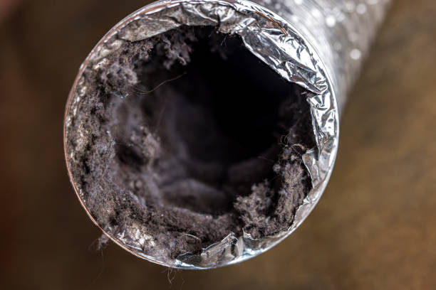 Ductwork Cleaning Services in FL